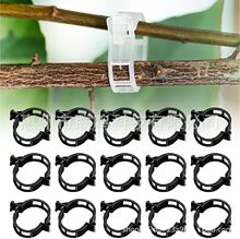 ����ֲ��ASecured Plastic Plant Clipֲ��֧�ΊA���ӊA���ъA