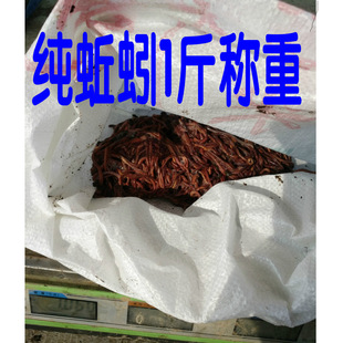 ��̖�����~���b����~�D�a�~��CҰ��D��ɢ�b���w�r��ܛ�D���]