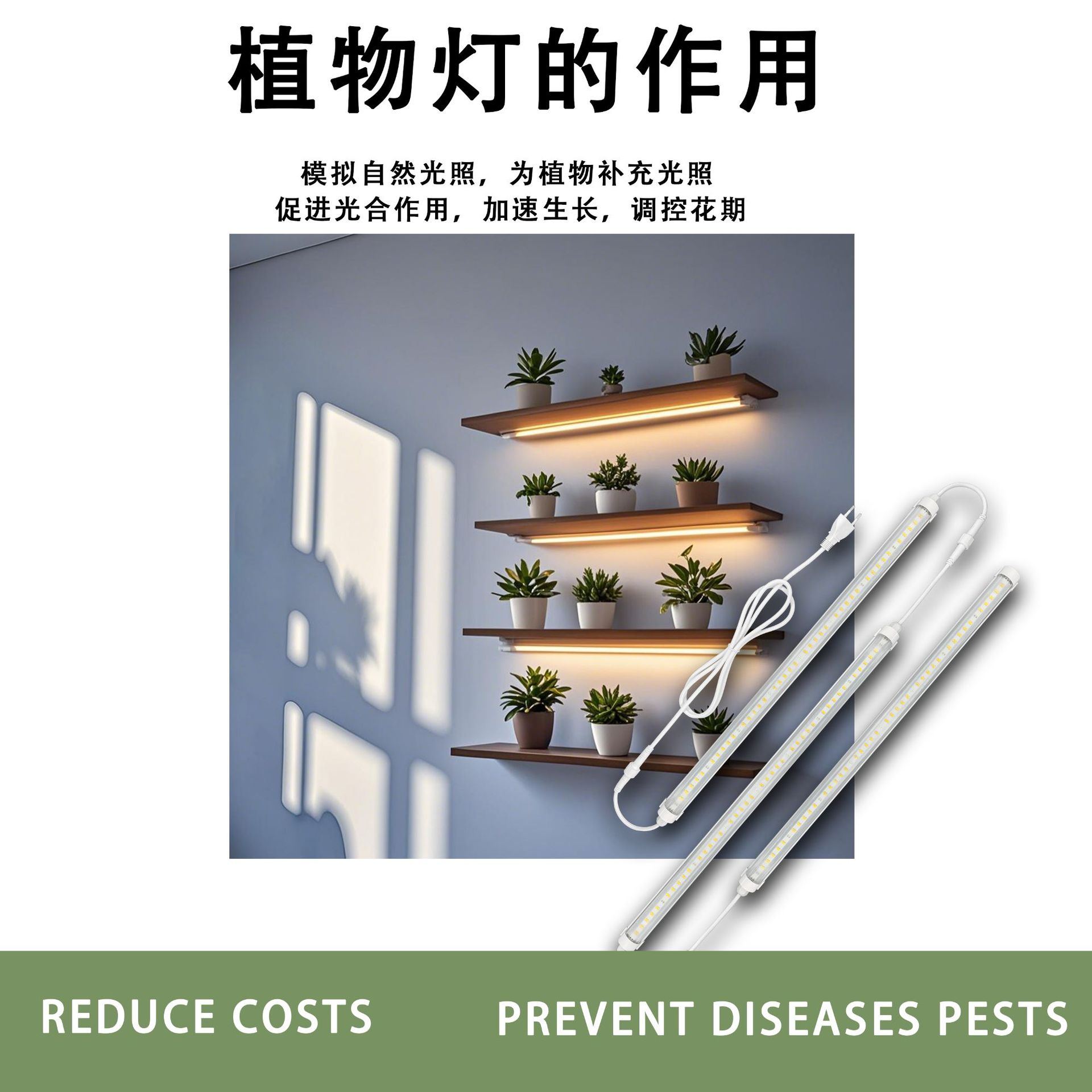 ��ѧר�������Ʒ�̫��ledֲ��������ȫ���������ƹ�T8������