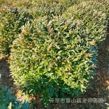 �������r�S����С�~�S�����|�������S��G�h�I�B��������S����