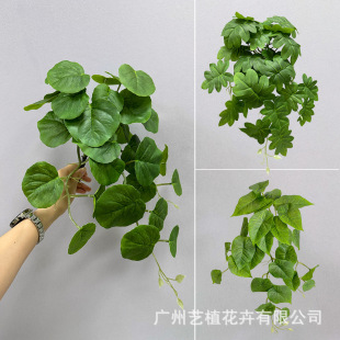 ���滨�ڒ�Gֲ����ֲ�ﺣ�������~�G�}�����������b���ֲ�