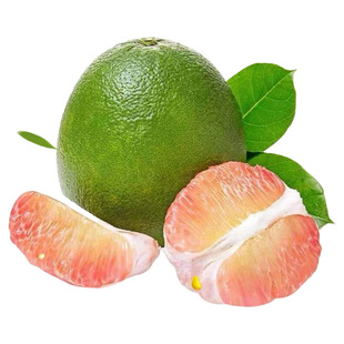 ̩������ּt�����Ӯ���ˮ�����]��Ƥ�t������һ�����l