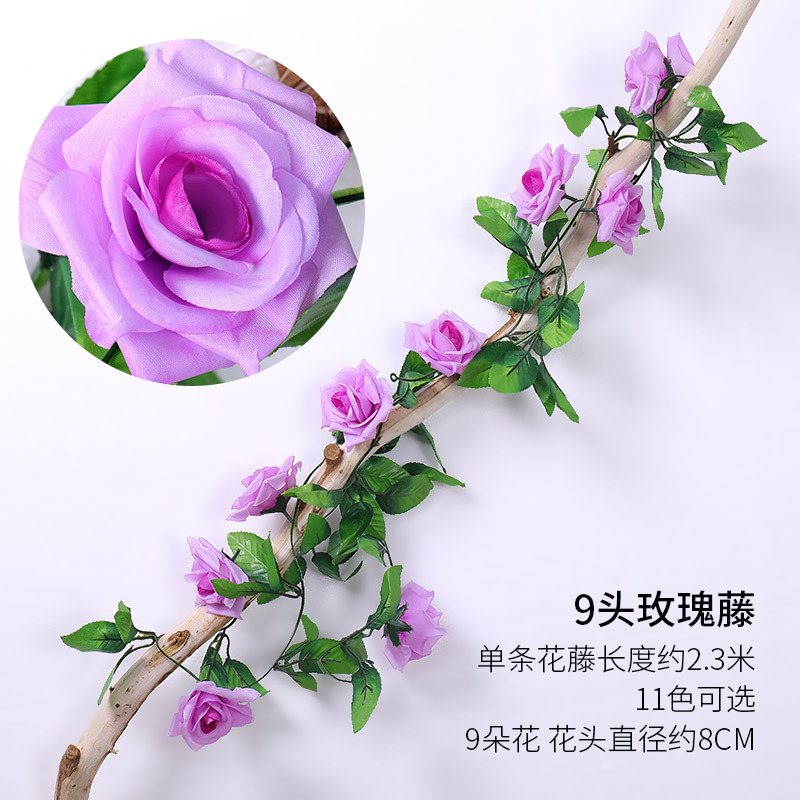 보라