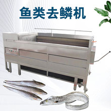全自动鲜鱼去鳞机不锈钢材质 鲫鱼除鳞机鱼体无损伤电动脱鱼鳞机