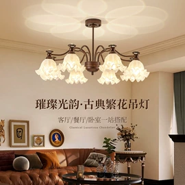 吸顶灯;吊灯;风扇灯