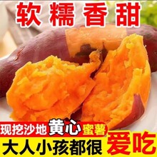 �������żt����������ɳ���������r�SƤ�S�ļt�����Ϸ�����Ŵ�ع�