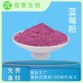 蓝莓粉 蓝莓果粉 水溶蓝莓汁粉 蓝莓浓缩粉蓝莓冻干粉花青素 SC工