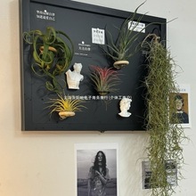 늱ڰDIYړ䠝ڳ՚PinsL