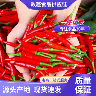 �tС�׽�9���������r���콷����⽷10���l5���]��������