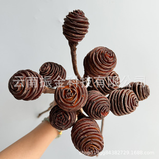 �͹���ˇ�M�ڸߙn���������۰��ݼy���滨�ɻ��Ĕz�������޿���