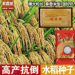 �������|�߮a�s��ˮ���N��̩�マ���L�����ó԰��U���׵���ˮ��