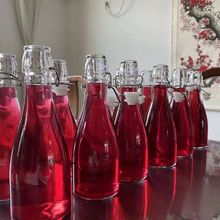 家用泡酒玻璃瓶密封自酿酒瓶带盖空瓶子白酒红酒瓶卡扣果酒酵素瓶