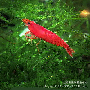 �Ꭷ�^�p�r���w��ˮ�ѻ��rˮ�������r�ښ��r���匙��ݸ׻��w���l