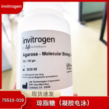 Invitrogen ֬ Agarose 100g |zӾ򞌣 ؛̖75510019