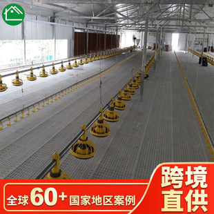 Steel Structure Chicken Coop Export Manufacturer Produces Quick Construction Low-Cost H-Shaped Steel Structure Chicken Coop