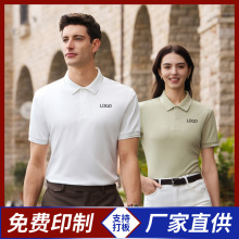180�˳�����Һ������POLO�����������Ļ�������˫������ɫ����