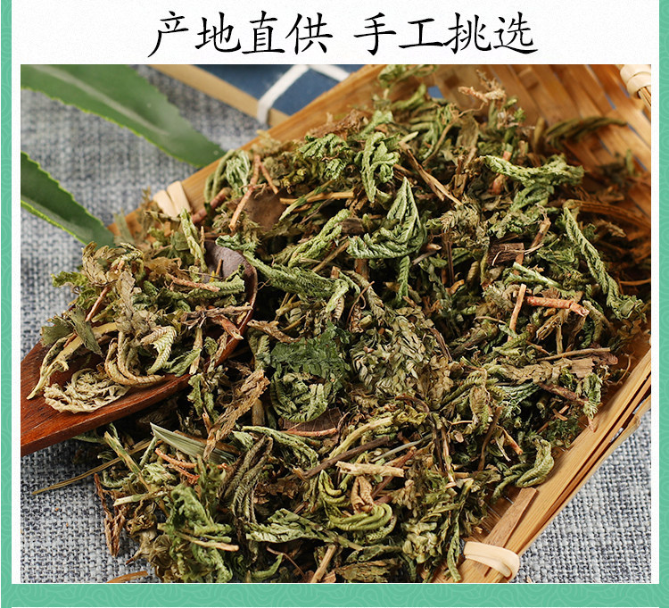 Premium Wild Shi Shang Bai 500g Dried Selaginella Herb Traditional TCM Botanical specifications