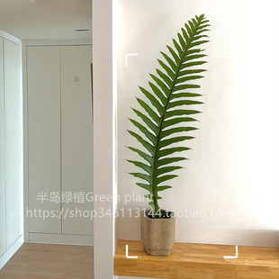 ����ާ�����½�ާ���~�^�~�Gֲ�҃ȿ͏d�b����ִ���ާ�ֲ�����