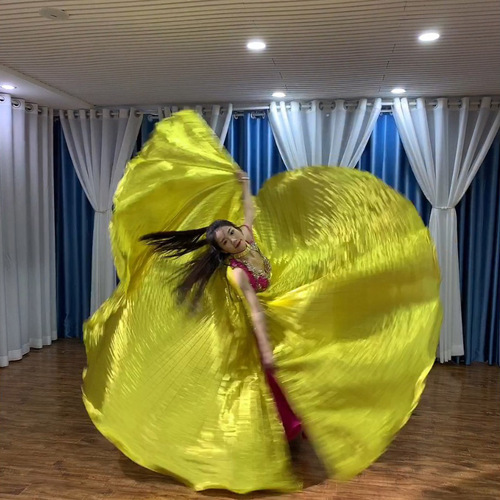 Dance Rhythm Adult Golden Translucent Eastern Dance Prop Costume Belly Dance Gold Wings Large Version