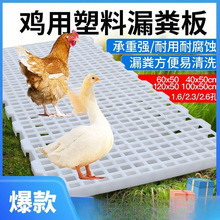 ����©�S�W�u���B�u�����Ӹ߼��ù��S���ω|���B�u����©�S���Bֳ