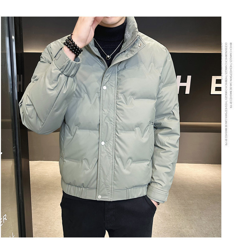 Men's Clothing Short lightweight Silk cotton jacket for men 2024 new style stand up collar handsome fashion warm winter men's jacket_voghion.com