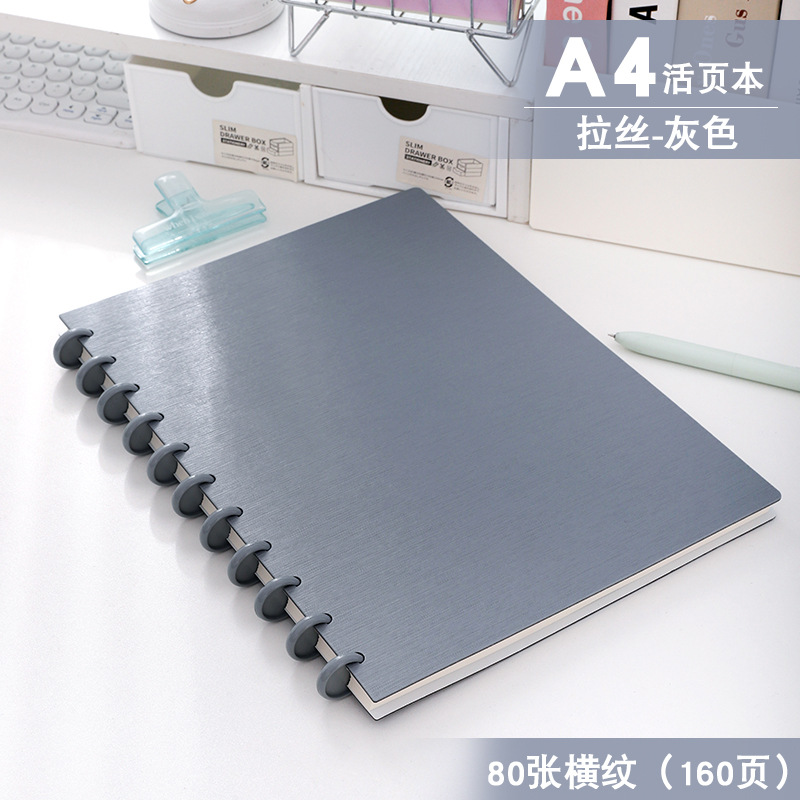 A4 브러시드 그레이