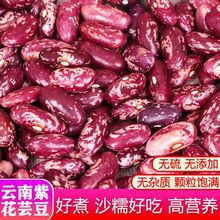 紫花芸豆红花芸豆腰豆贵州花豆新豆四季豆新鲜五谷杂粮新鲜芸豆
