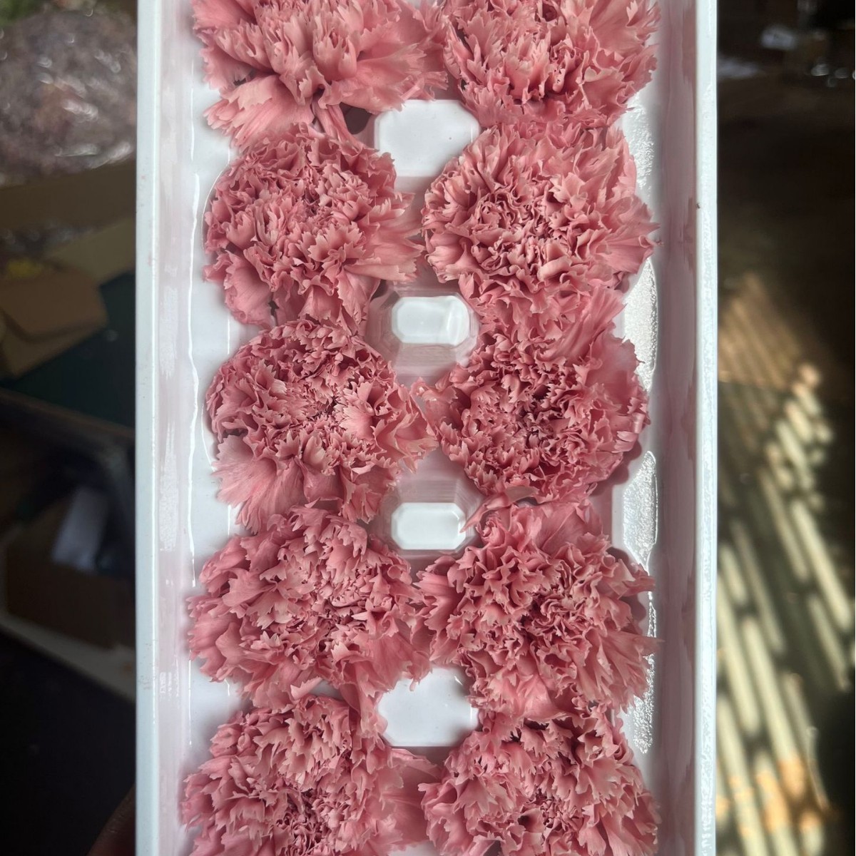 Cabezas de Claveles Preservadas A+, 4-5 cm, Paquete de 8, Arte Floral DIY, Caja de Regalo Educativa, Día de la Madre, Venta al por Mayor de Fábrica