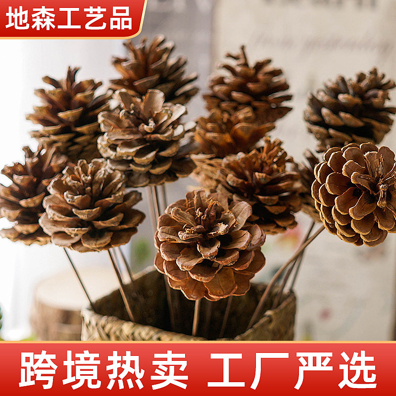 Natural Single Pine Cone Dried Flower Kindergarten DIY Christmas Decorations Photography Shooting Props Decoration Pine Flower Pine Cone
