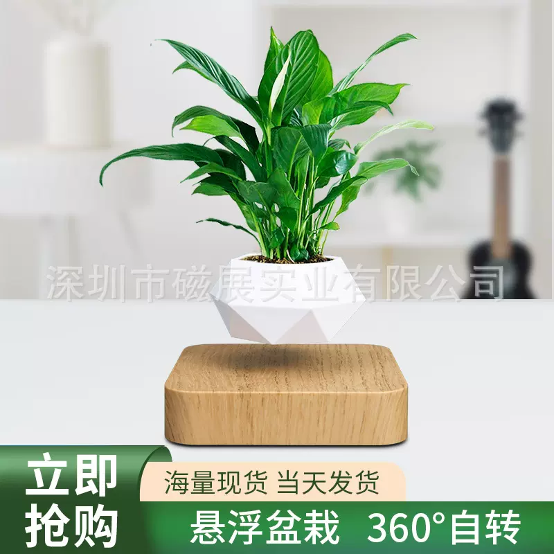 磁悬浮盆栽 悬浮盆栽 磁悬浮植物摆件 磁悬浮花卉 外贸爆款