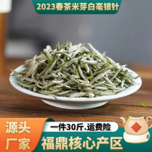 福鼎白茶2023年新茶花香头采白毫银针米粒芽高山茶叶散装500g批发