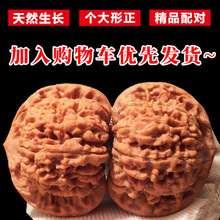 ��Ʒ����������¹�ñ����y�Cˢ�����O���@������ĥ�P�{���^���l