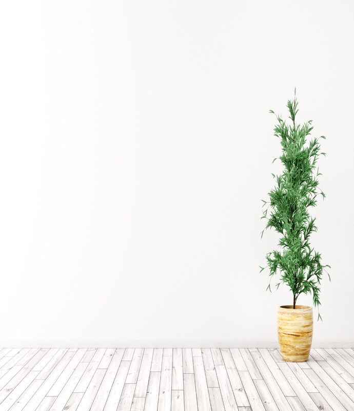 抖音直播背景布3d立体秋冬暖色主大气北欧风网红服装简约拍照ins|undefined
