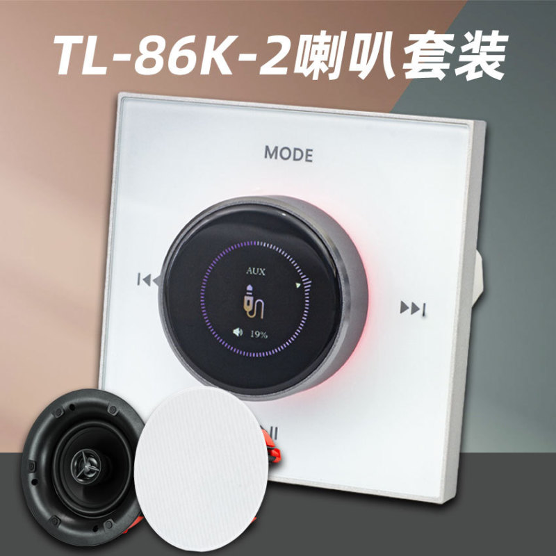 Tianlai English Two-Channel Intelligent Background Music System Embedded in Home Ceiling Audio Amplifier Host Unit 86K-2