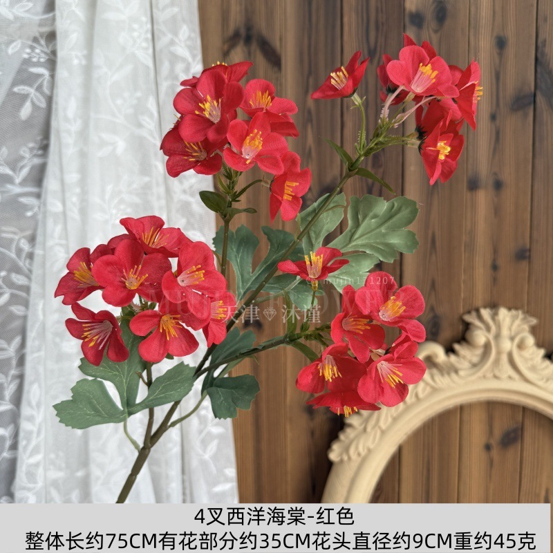 4갈래 서양 베고니아