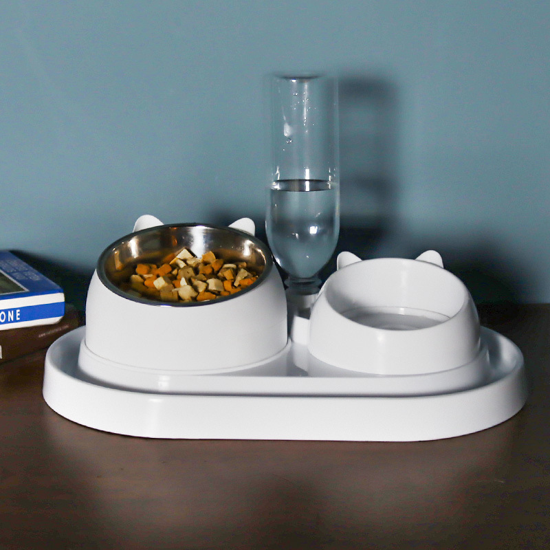 쓰리 인 원 화이트 고양이 플러스 화이트