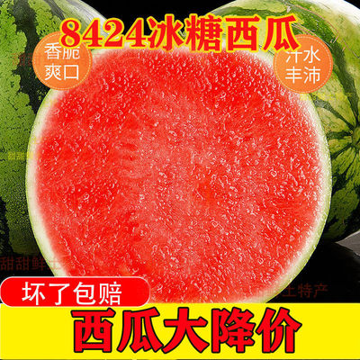 watermelon wholesale Price reduction 8424 Rock sugar unicorn Metro Season Seedless fresh fruit