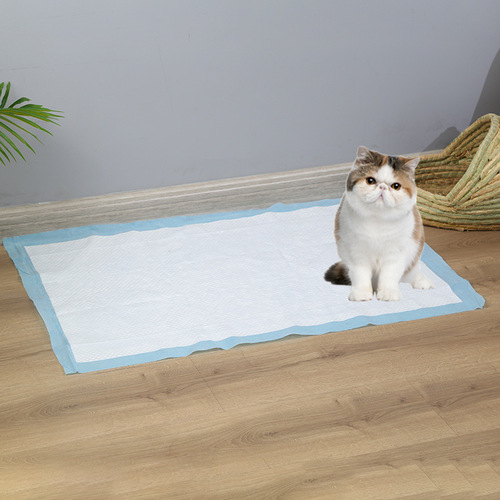 Supply Pet Urine Pad Nonwoven Dog Urine Pad Dog Diaper Bamboo Charcoal Thickened Urine Pad Disposable Urine Pad 