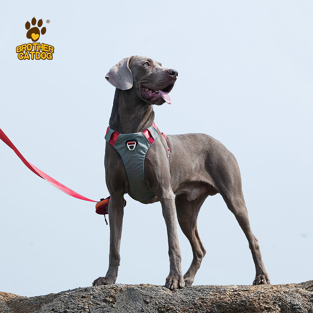Correa para el pecho del perro mascota en forma de I reflectante perro chaleco correa de elevación a prueba de explosión de perforación