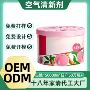 定制除臭除异味车载清新剂