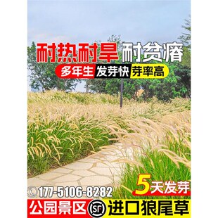 ���~��β�ݲ��ѻ��������ļ��W�t�^�p���@���^���BͥԺ�����ݷN��