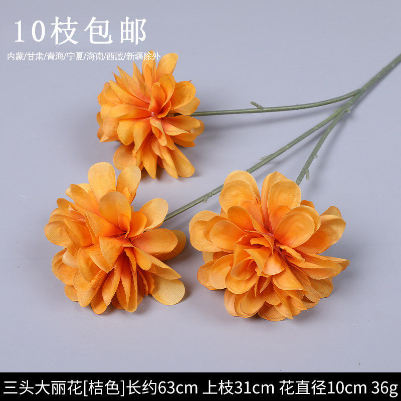 3头大丽花
