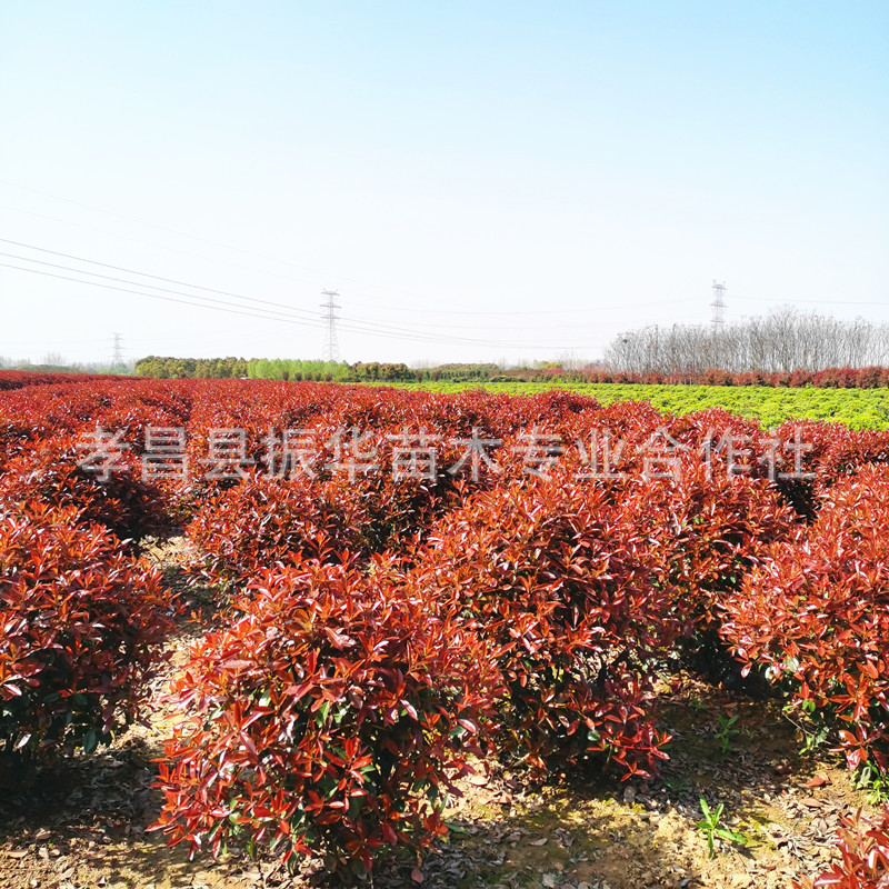 IMG_20210324_144924_����