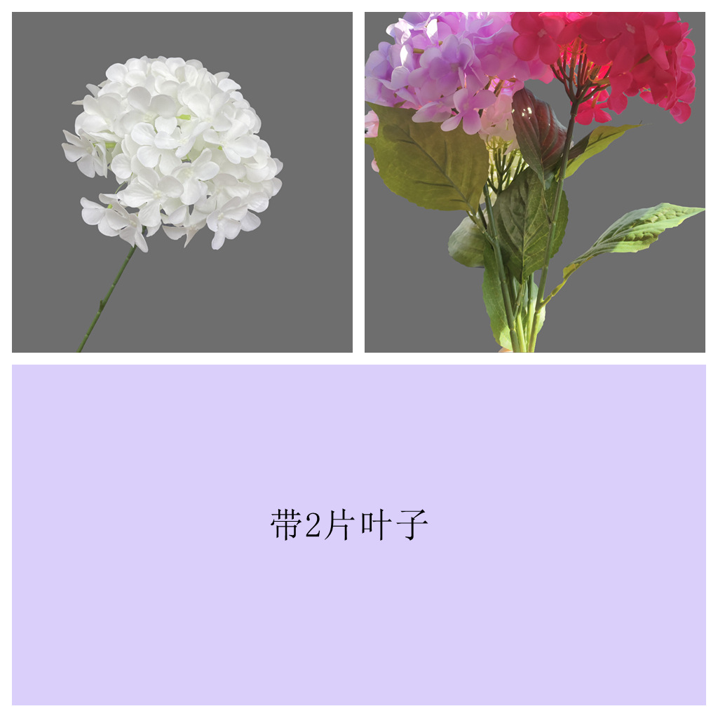 72개입 잎사귀 달린 흰색