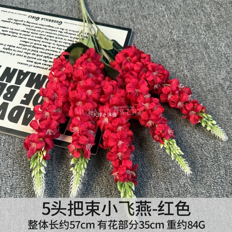 샤오페이옌의 묶음