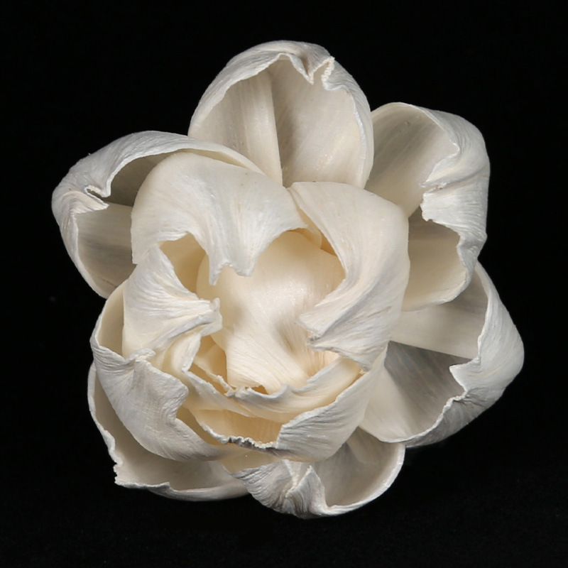 Tongcao flor aromaterapia flor absorbente de aceite fragancia Flor seca flor artificial Flor de peonía decoración del hogar planta flor seca