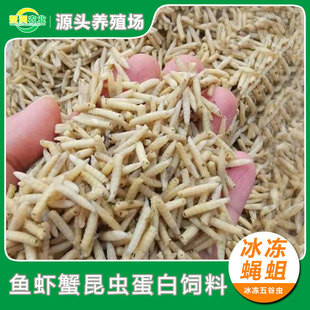 ����ω������������x�~�MС���rзˮ�a�D�ϠI�B���x����ʳ�����