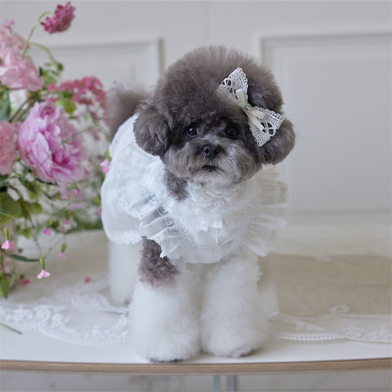 2025 mascota perro gato ropa primavera y verano algodón encaje falda a juego tocado horquilla