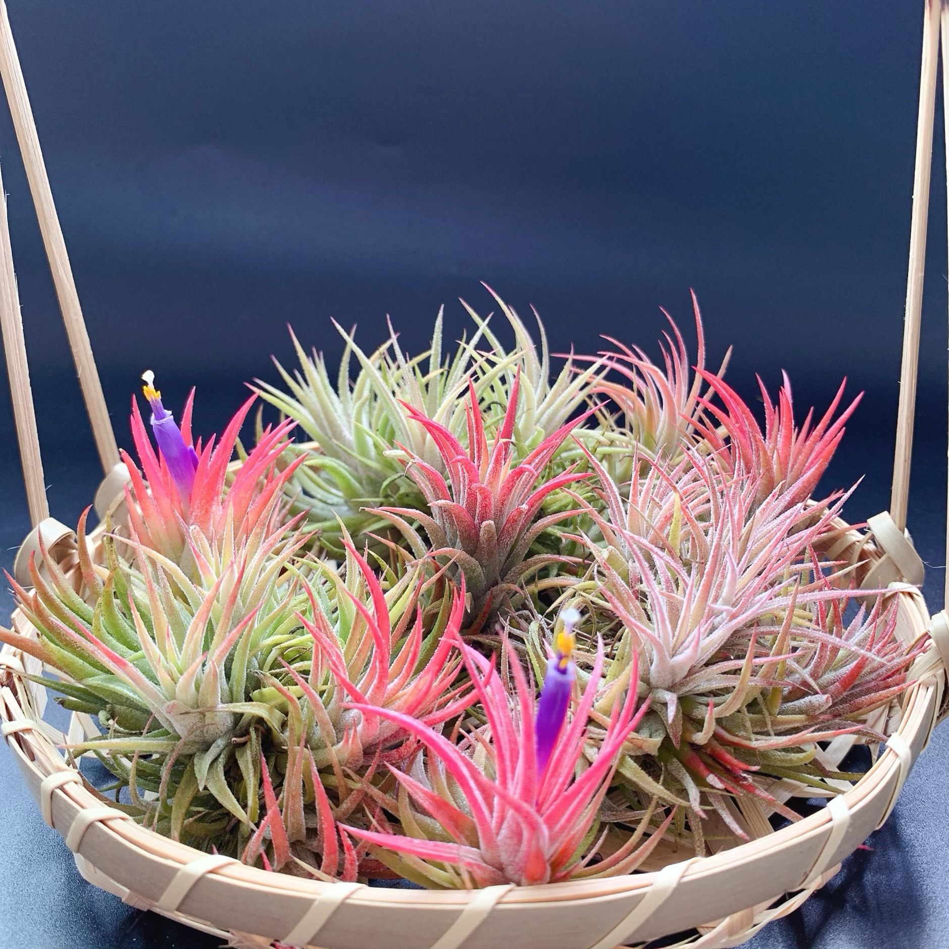 微信图片_20240411134755