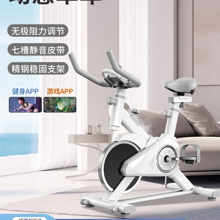Dynamic Bicycle Home Fitness Equipment Sports Room Indoor Professional Aerobic Exercise Bicycle